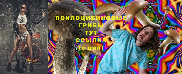 гашик Балабаново