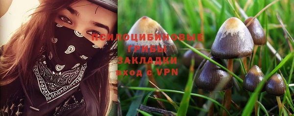 mix Белокуриха